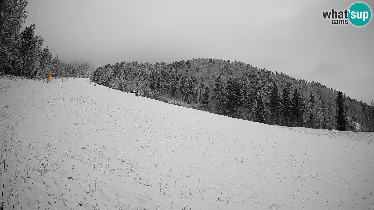 Ski Kranjska Gora | Brsnina