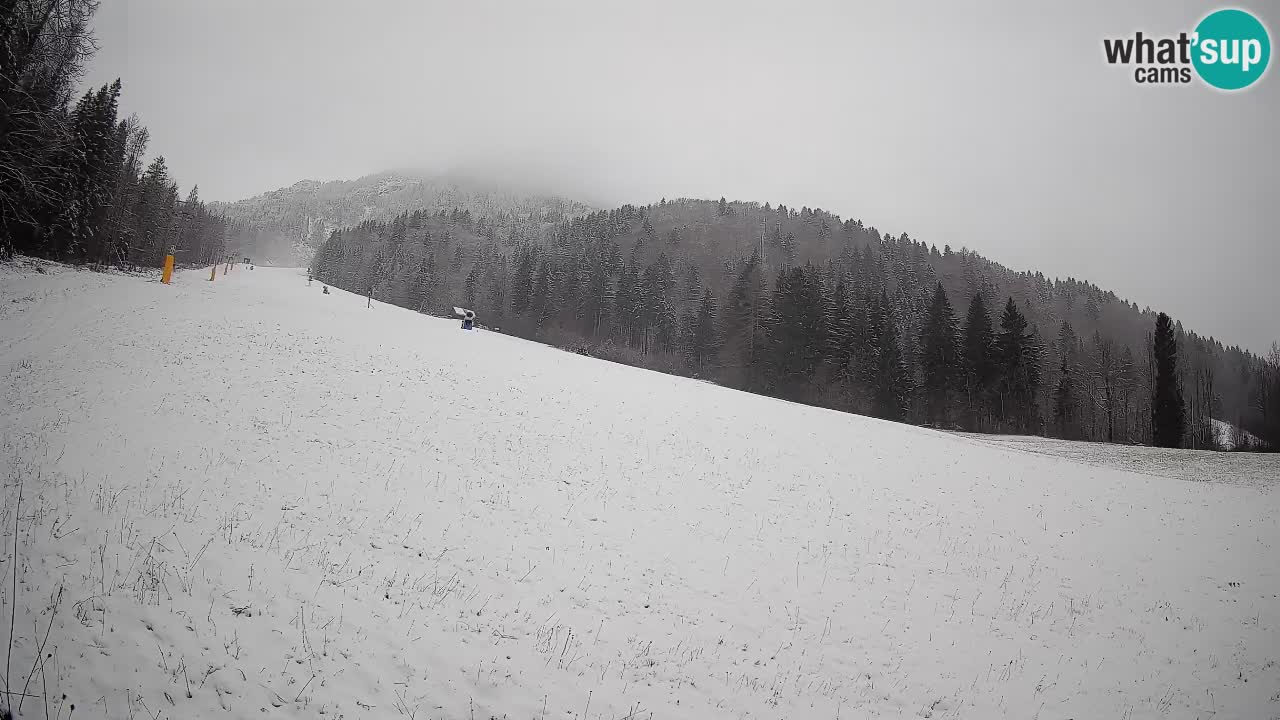 RTC Kranjska Gora | Brsnina