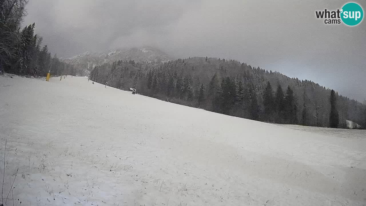 RTC Skigebiet Kranjska Gora | Brsnina