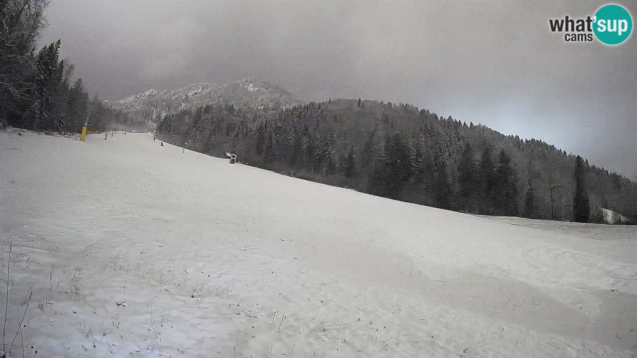 Kranjska Gora SKIJANJE | Brsnina