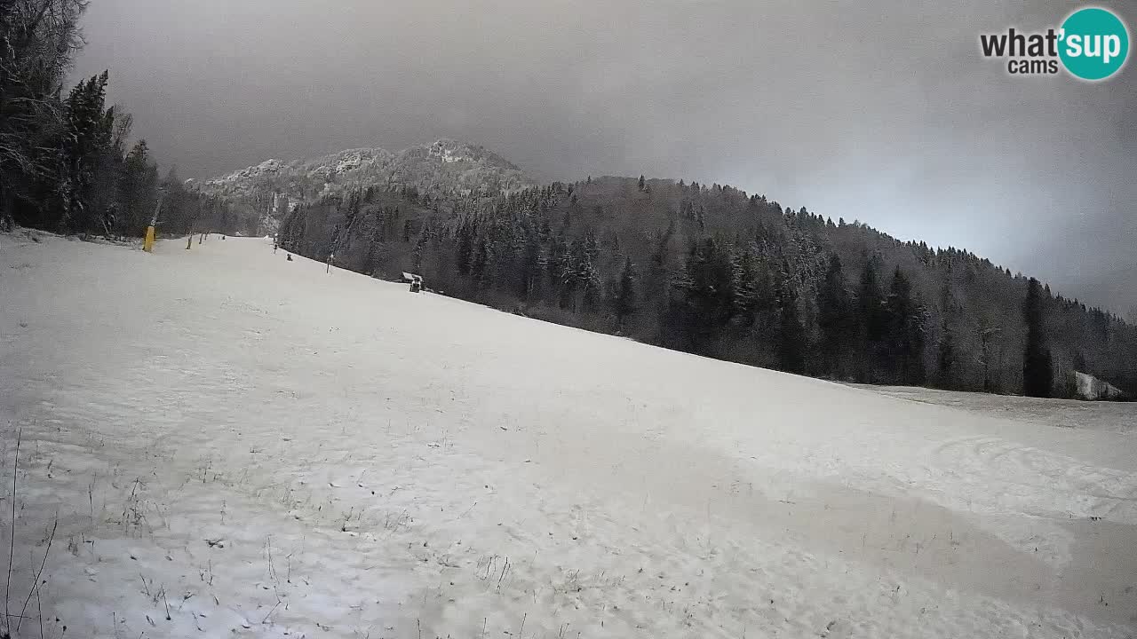 RTC Skigebiet Kranjska Gora | Brsnina