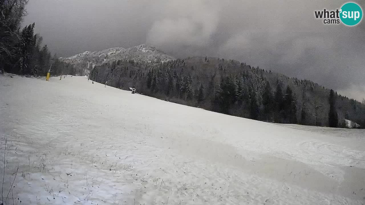 RTC Kranjska Gora | Brsnina