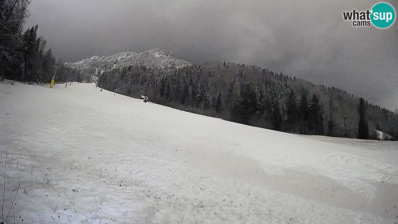 RTC Kranjska Gora | Brsnina