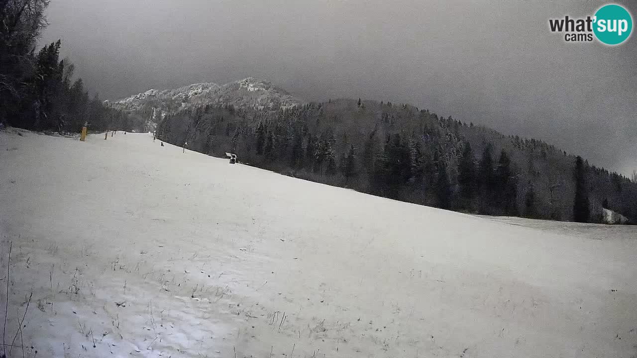 RTC Kranjska Gora | Brsnina