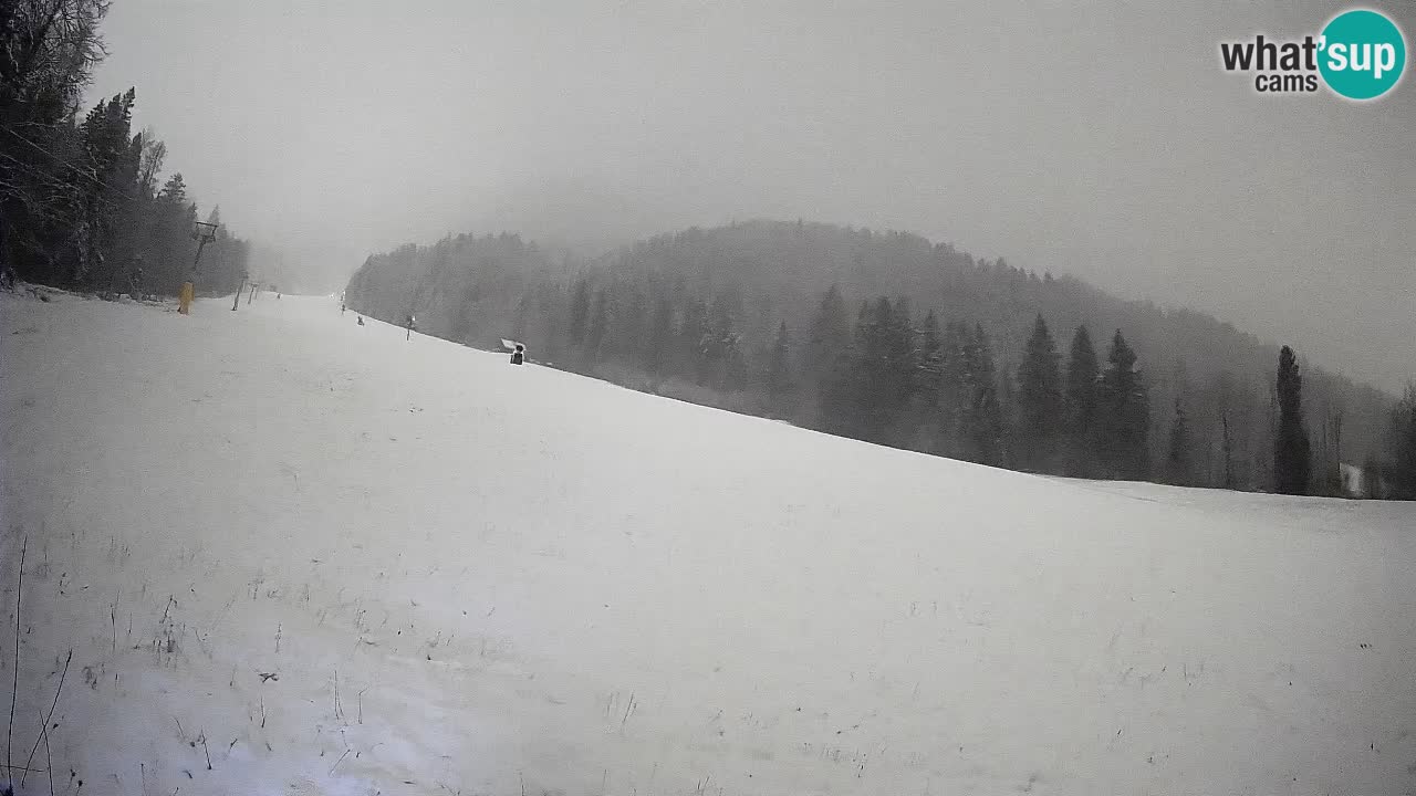 Ski Kranjska Gora | Brsnina