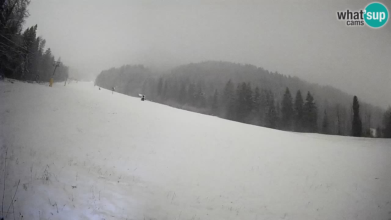 Esquí Kranjska Gora | Brsnina
