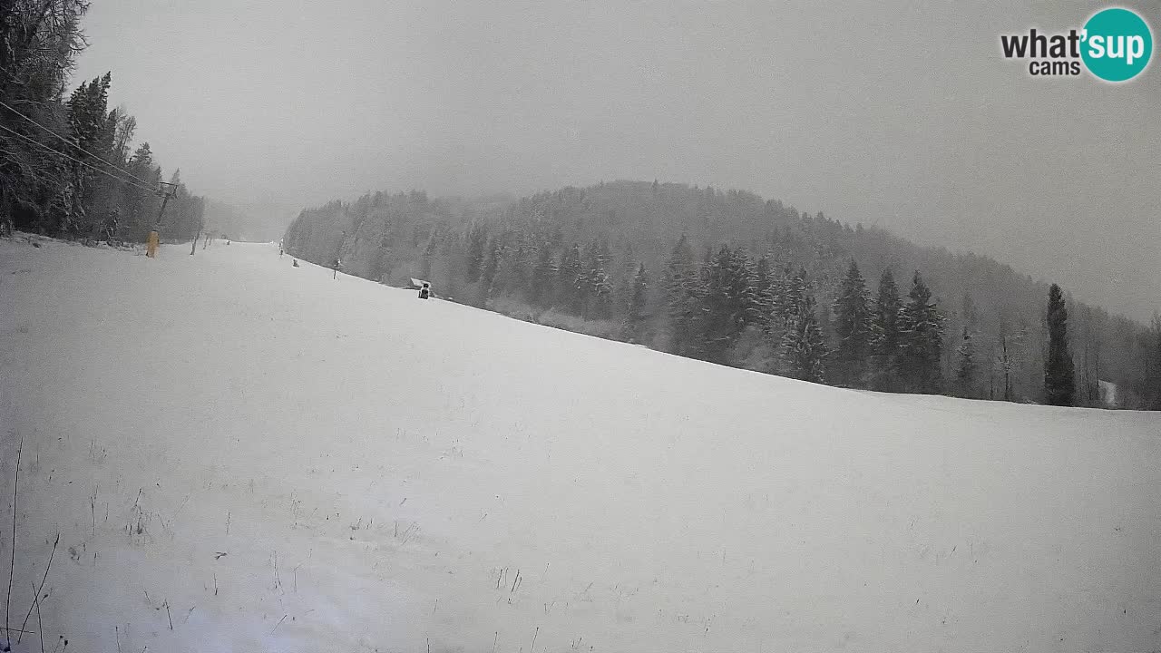 Kranjska Gora SKIJANJE | Brsnina