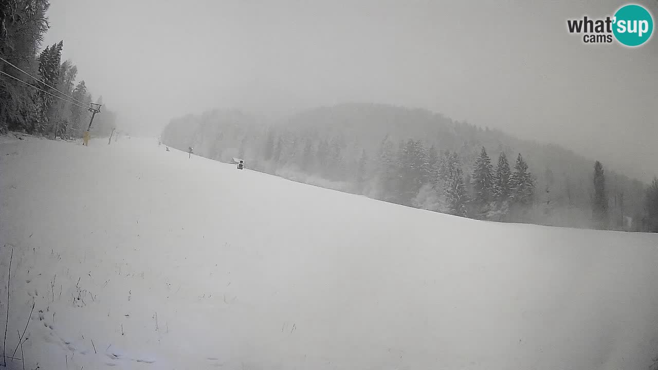 Kranjska Gora SKIJANJE | Brsnina