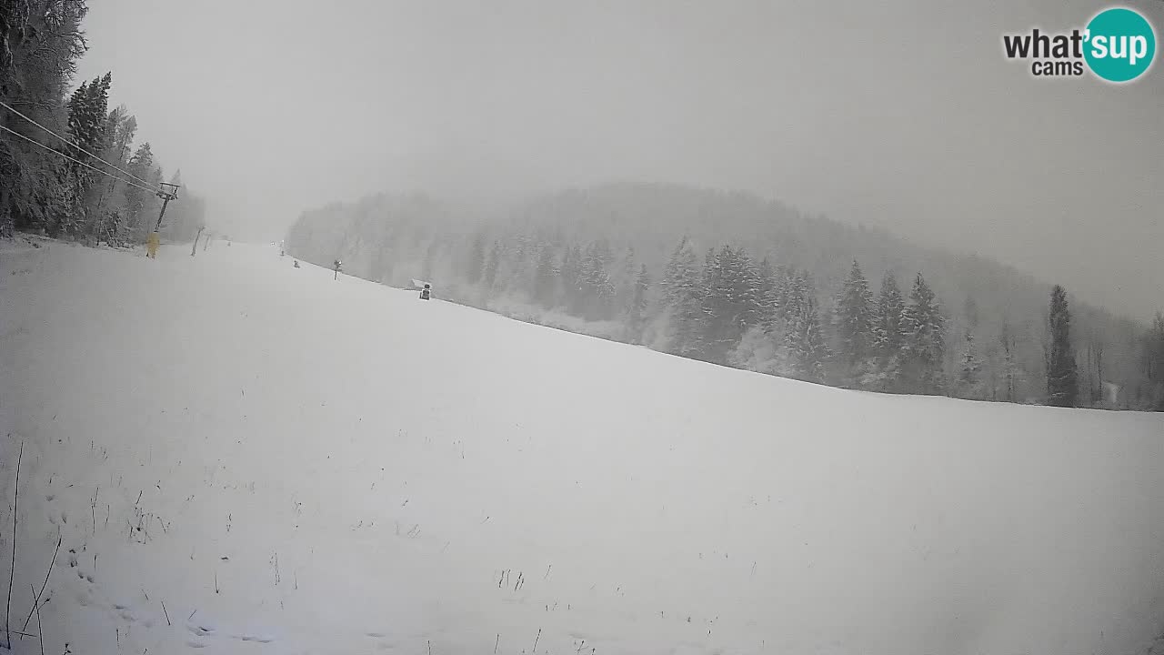 Kranjska Gora SKIJANJE | Brsnina