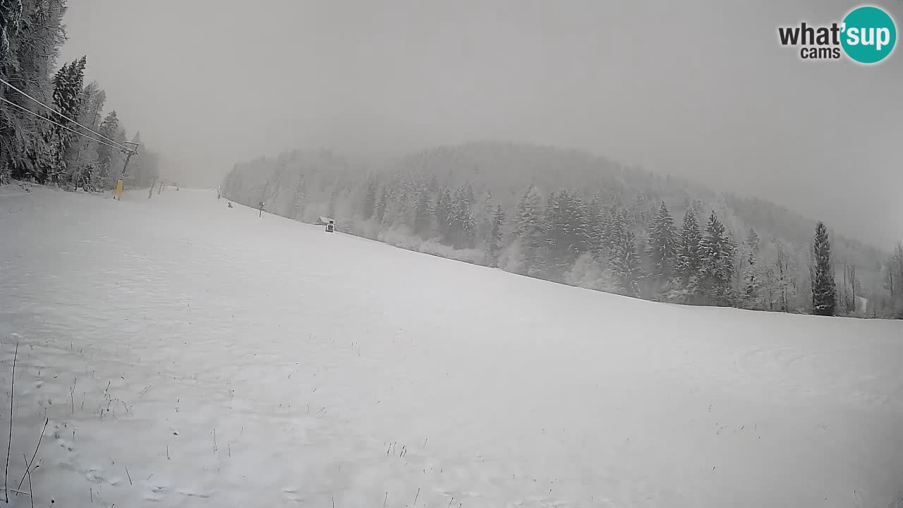 RTC Skigebiet Kranjska Gora | Brsnina