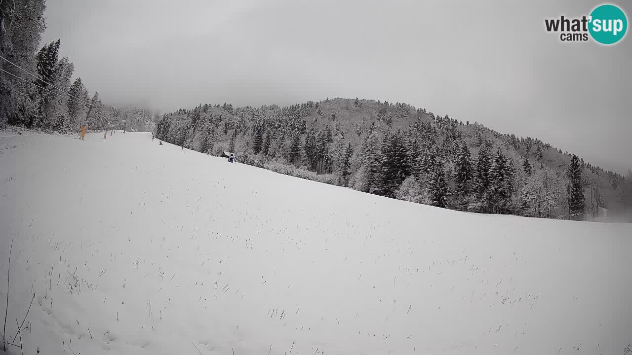 Comprensorio sciistico Kranjska Gora | Brsnina