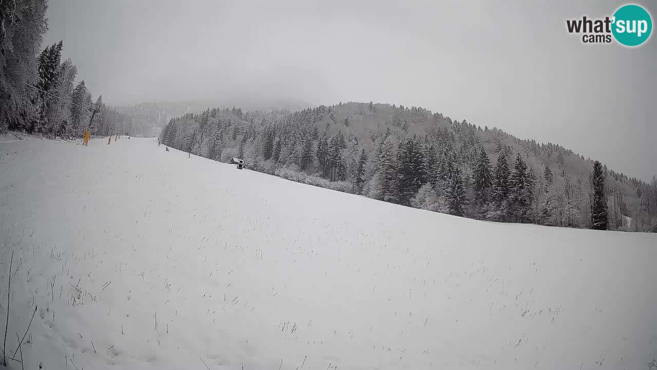 RTC Kranjska Gora | Brsnina