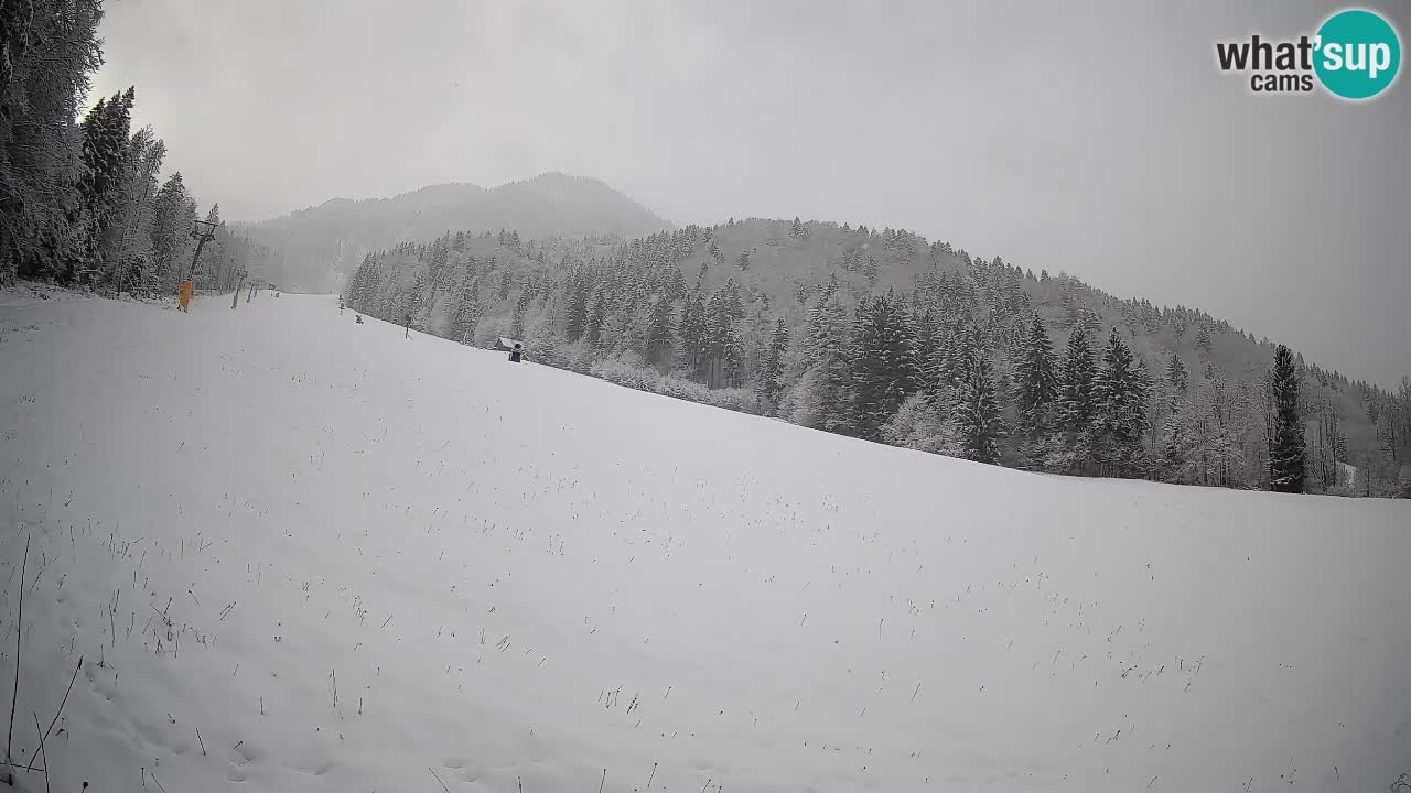 Esquí Kranjska Gora | Brsnina