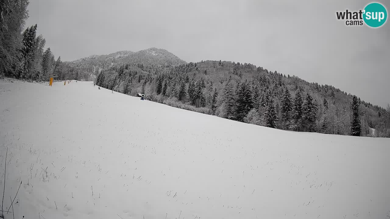 Comprensorio sciistico Kranjska Gora | Brsnina