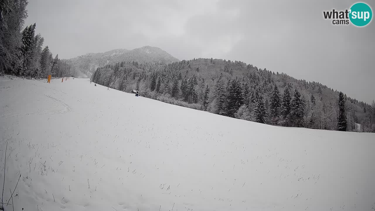 Kranjska Gora Station de ski | Brsnina