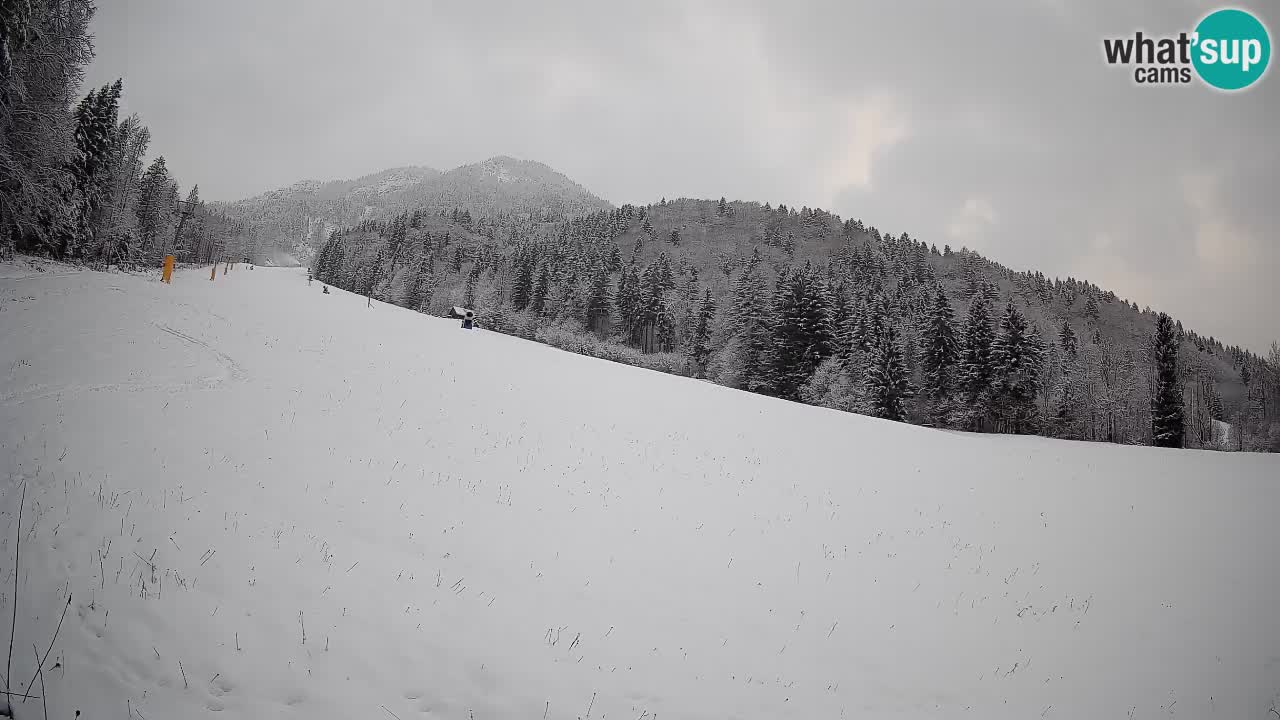 RTC Skigebiet Kranjska Gora | Brsnina