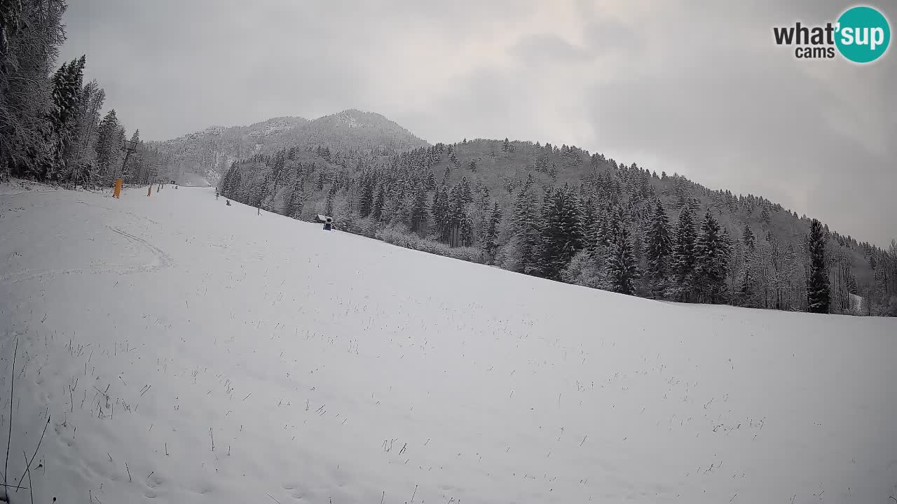 Comprensorio sciistico Kranjska Gora | Brsnina