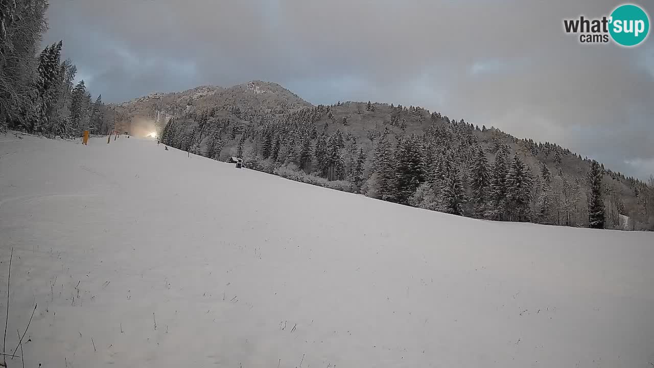 Kranjska Gora SKIJANJE | Brsnina