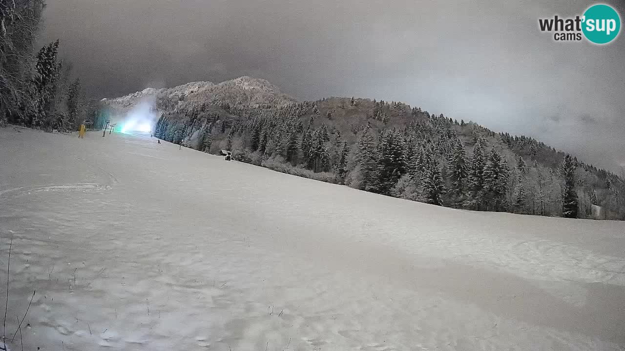 RTC Skigebiet Kranjska Gora | Brsnina