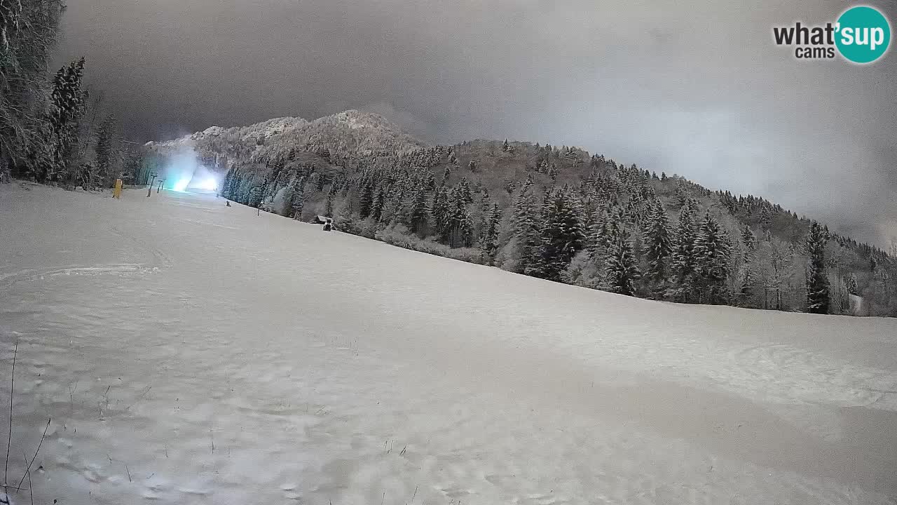 Kranjska Gora SKIJANJE | Brsnina