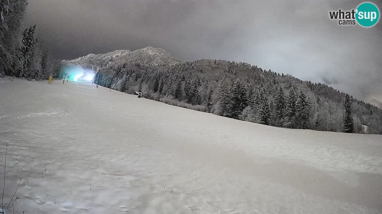 Comprensorio sciistico Kranjska Gora | Brsnina