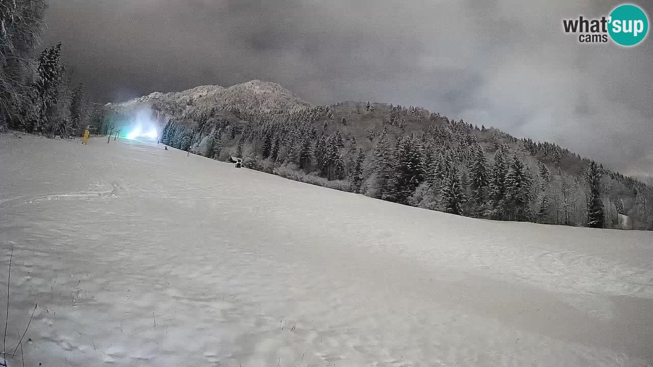 Kranjska Gora Station de ski | Brsnina