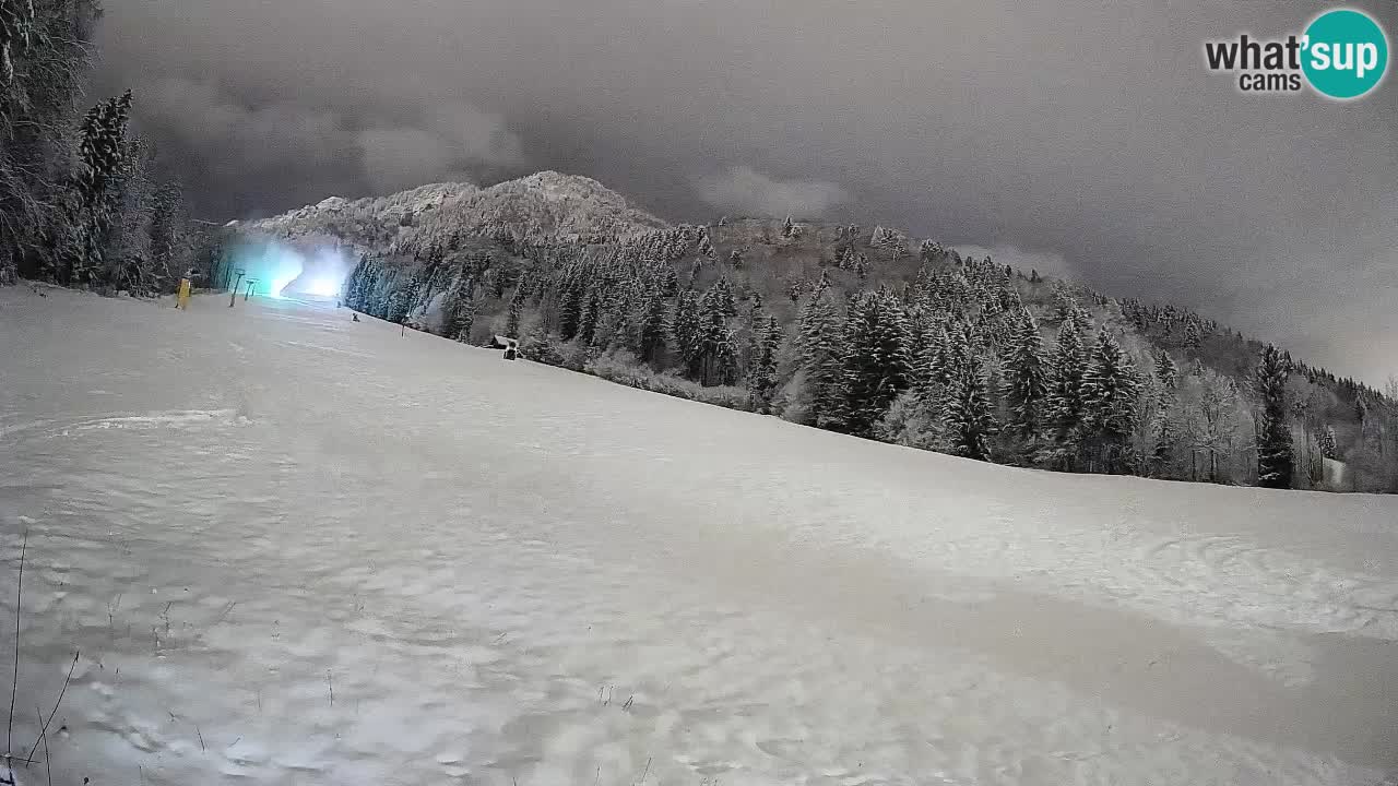 Kranjska Gora Station de ski | Brsnina