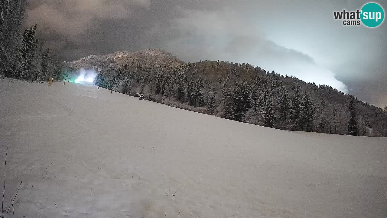 Ski Kranjska Gora | Brsnina
