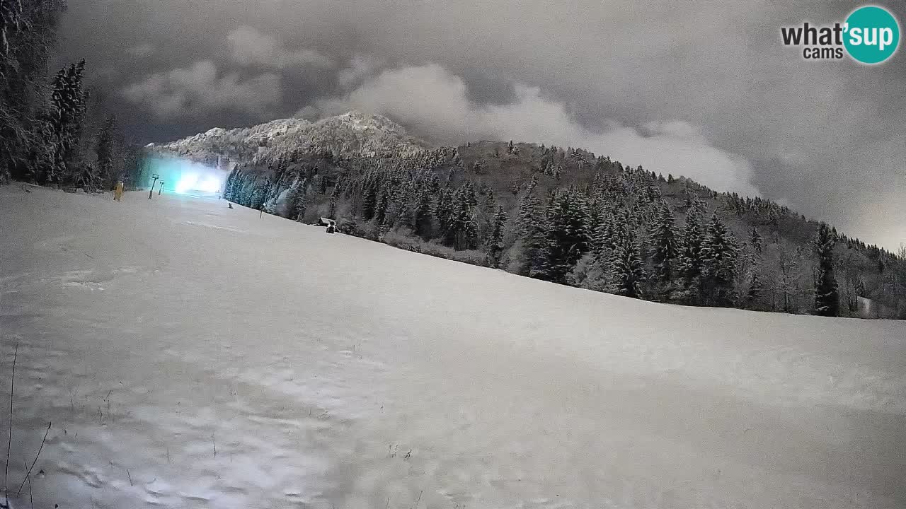 Ski Kranjska Gora | Brsnina