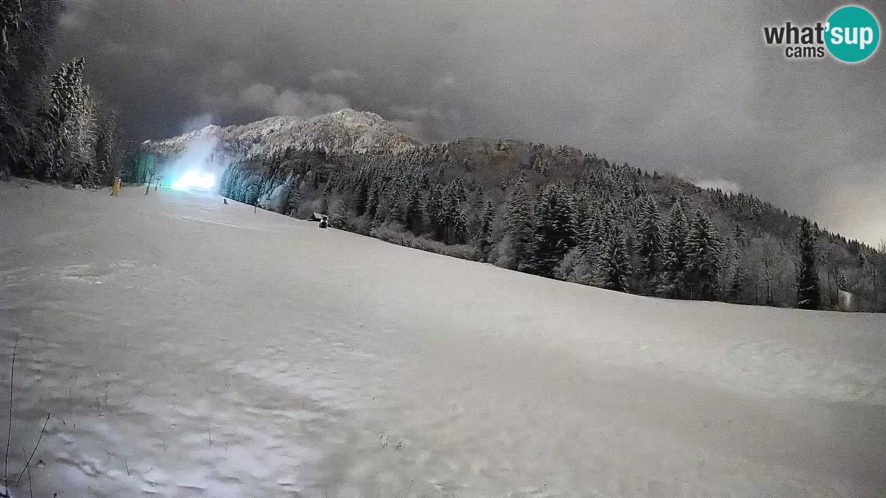 Ski Kranjska Gora | Brsnina