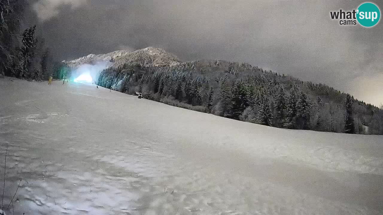 RTC Kranjska Gora | Brsnina