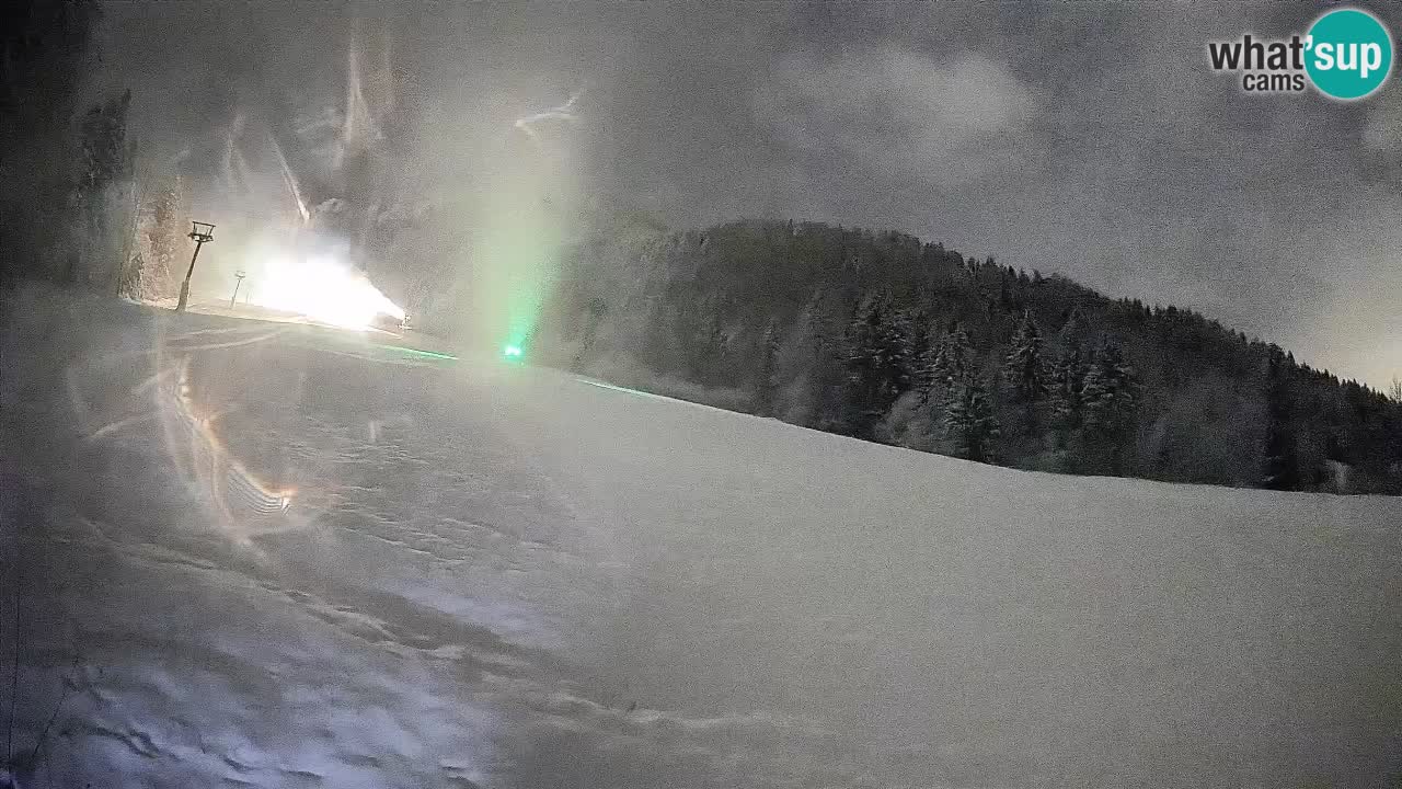 Esquí Kranjska Gora | Brsnina