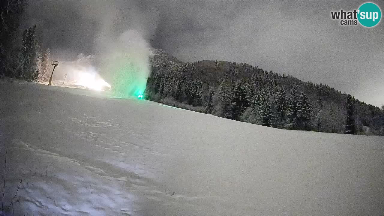 Kranjska Gora Station de ski | Brsnina