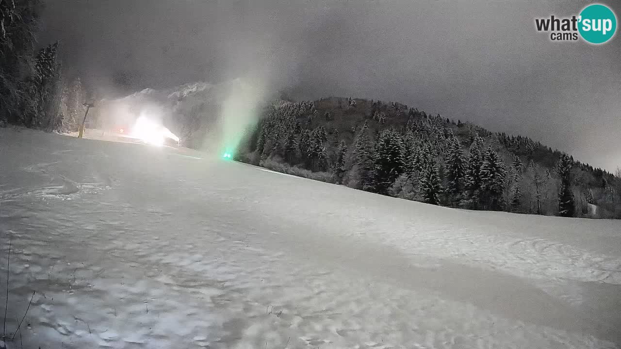 Comprensorio sciistico Kranjska Gora | Brsnina