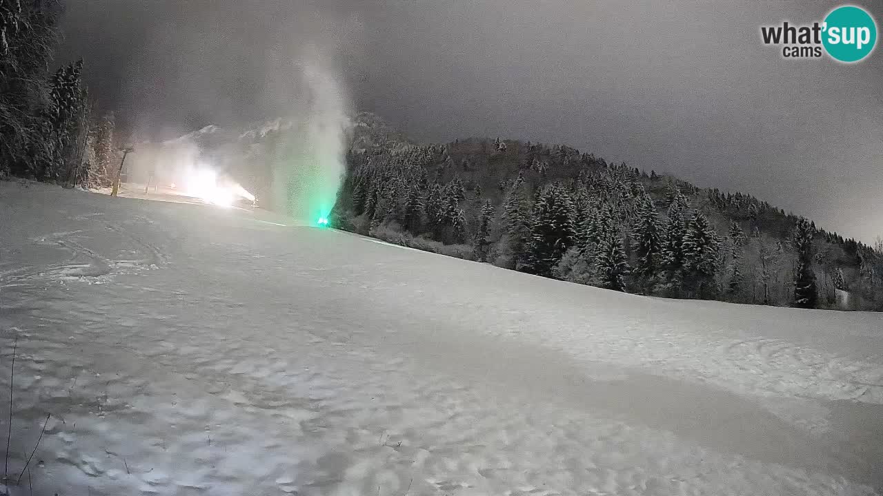 Kranjska Gora Station de ski | Brsnina