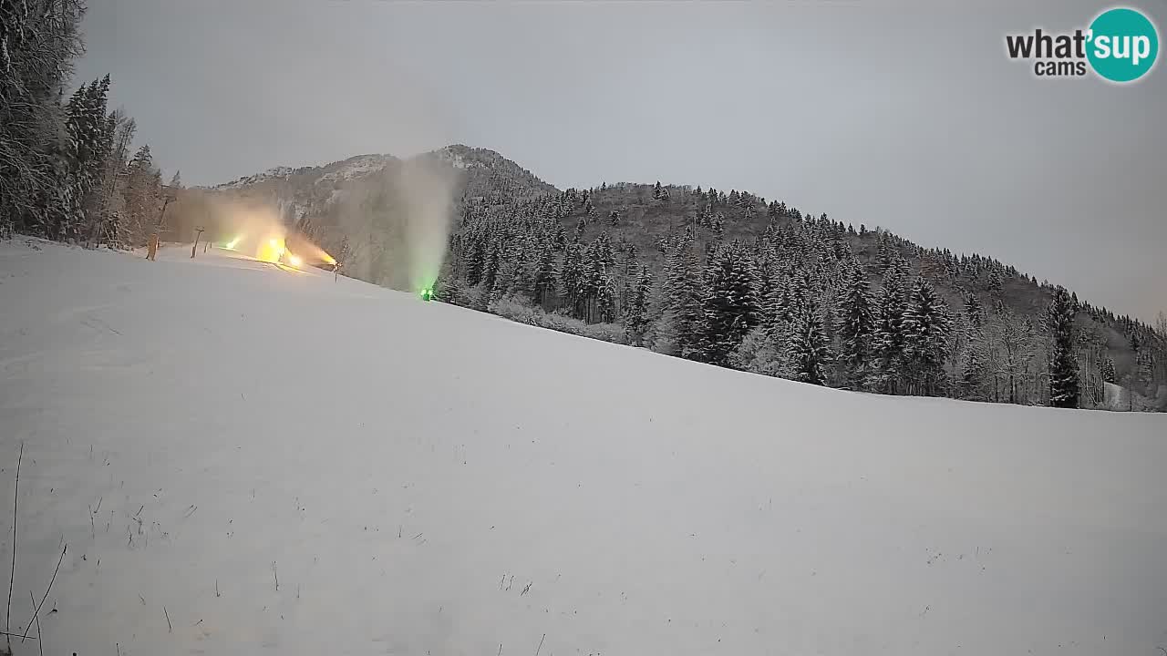 Ski Kranjska Gora | Brsnina