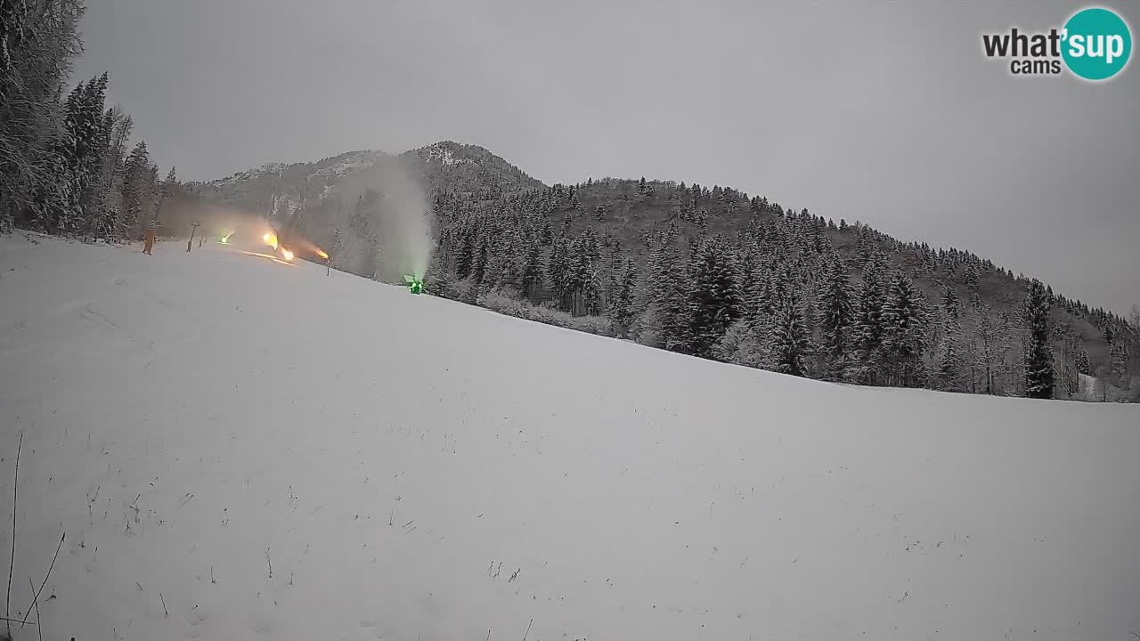 Comprensorio sciistico Kranjska Gora | Brsnina