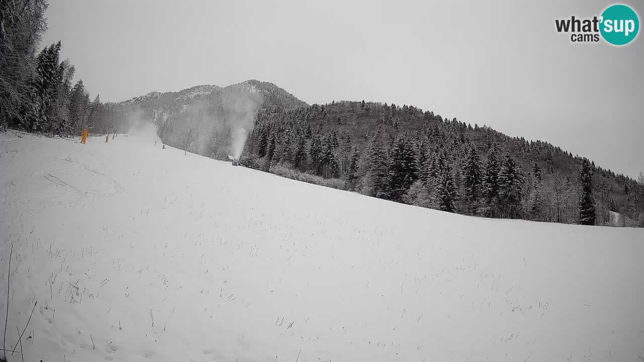 Kranjska Gora Station de ski | Brsnina