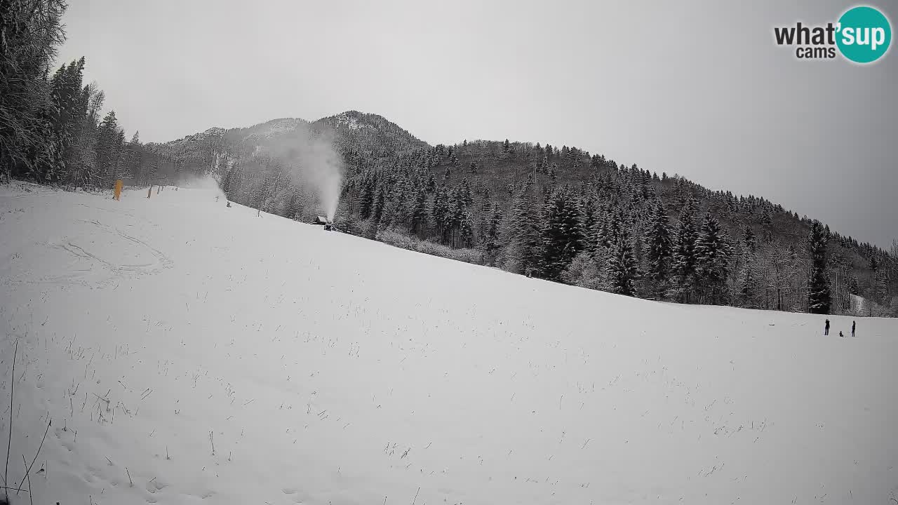 RTC Kranjska Gora | Brsnina