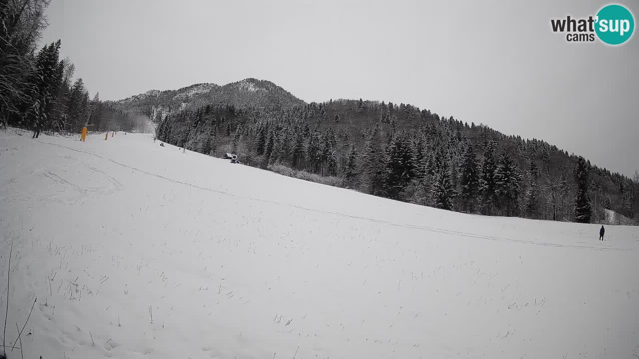 Kranjska Gora Station de ski | Brsnina