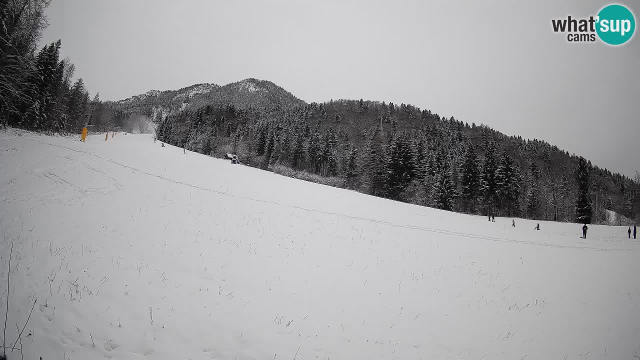 Esquí Kranjska Gora | Brsnina