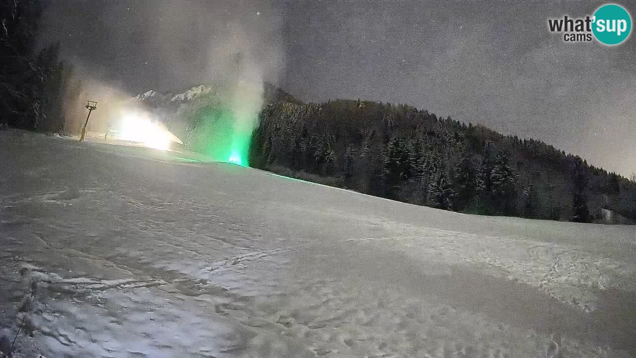 Kranjska Gora Station de ski | Brsnina