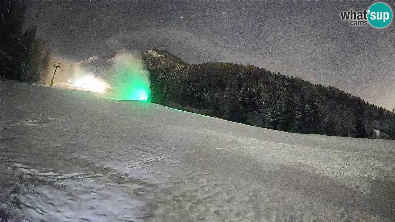 RTC Skigebiet Kranjska Gora | Brsnina