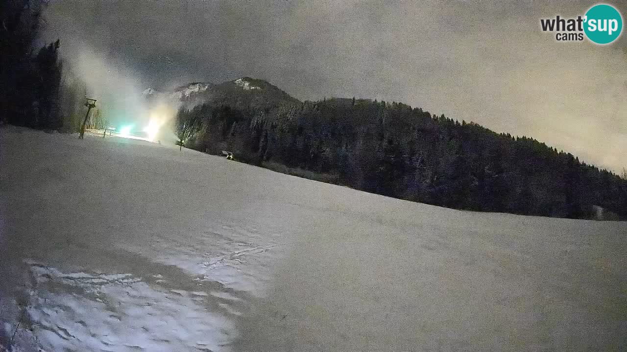RTC Skigebiet Kranjska Gora | Brsnina
