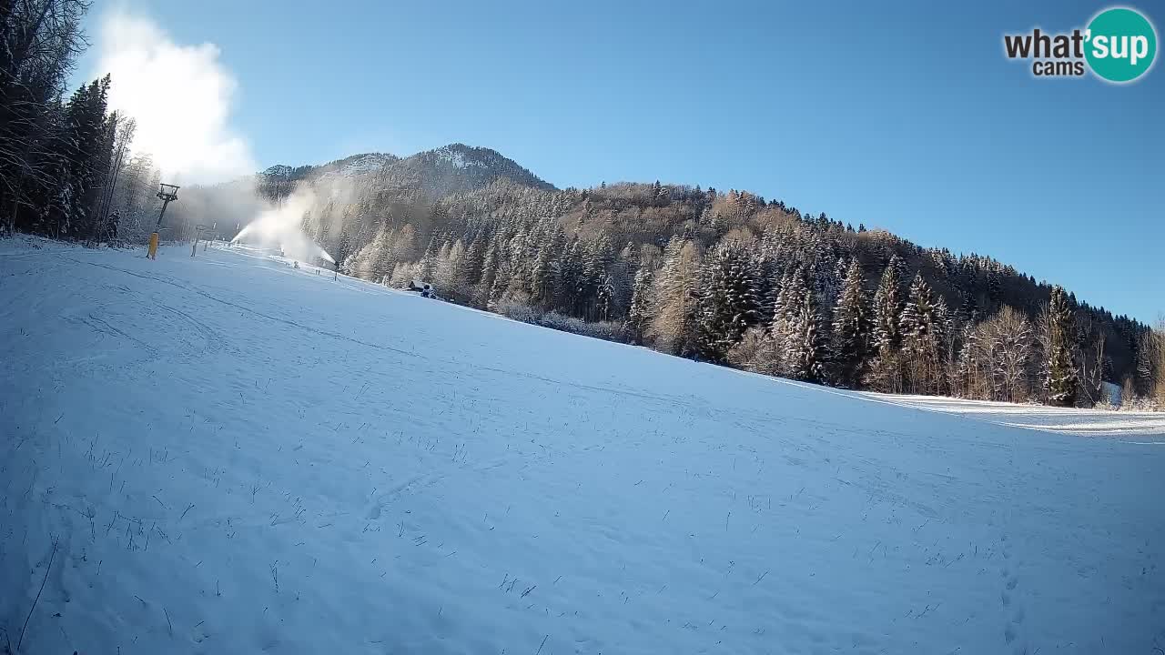 Ski Kranjska Gora | Brsnina