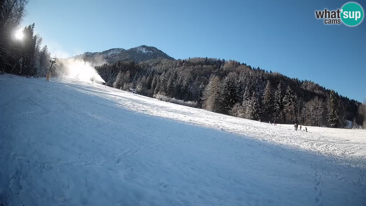 Ski Kranjska Gora | Brsnina