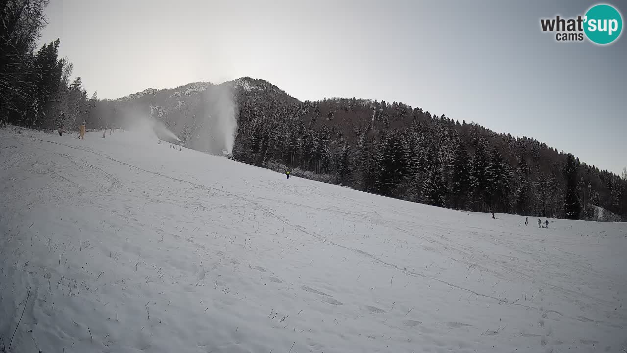 Kranjska Gora Station de ski | Brsnina