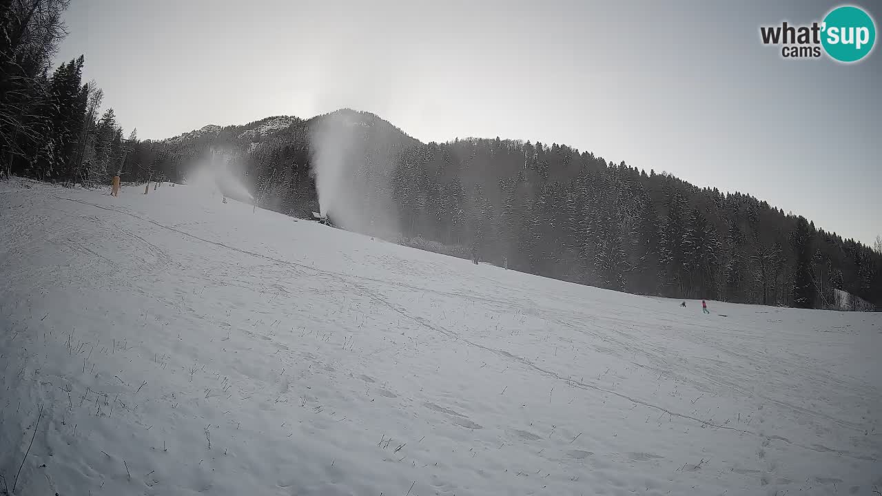 Kranjska Gora SKIJANJE | Brsnina