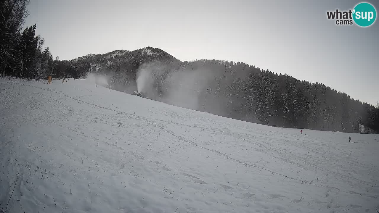 Comprensorio sciistico Kranjska Gora | Brsnina