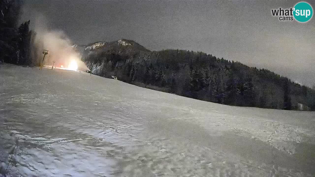 Ski Kranjska Gora | Brsnina